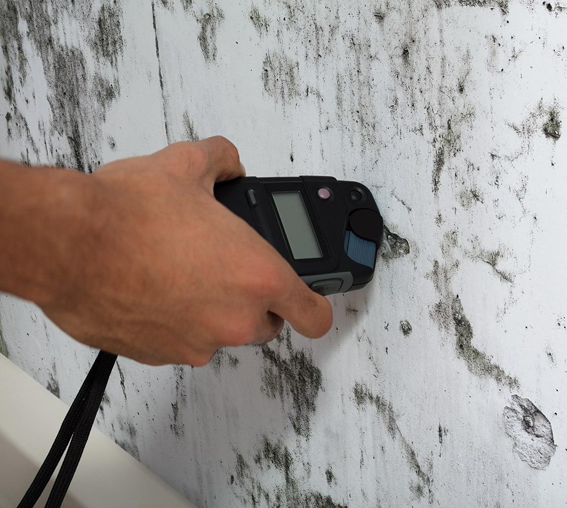 Our home inspector's hand holding a moisture meter to measure the wetness of a moldy wall
