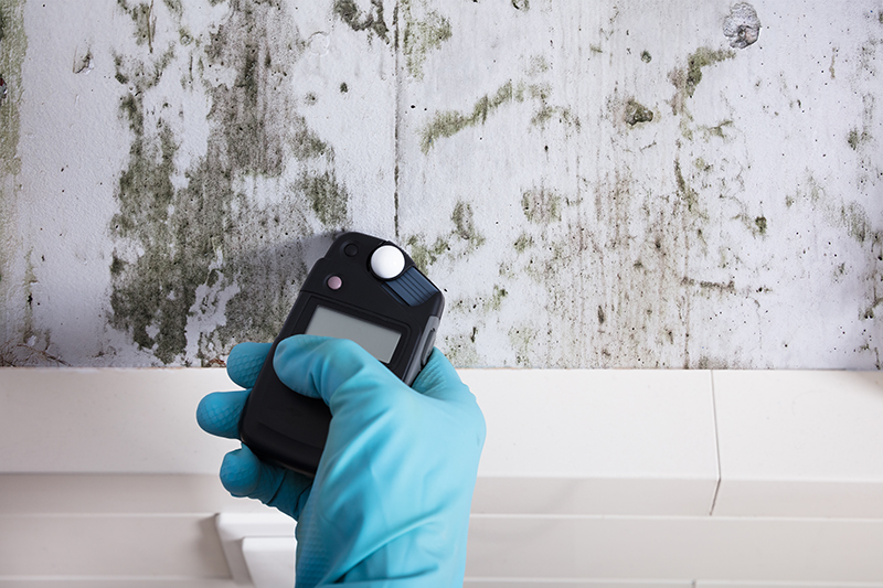Hand wearing a glove while using a moisture meter to test a moldy wall while preforming home inspections services